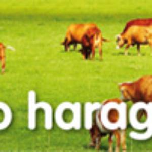 Haragitegia