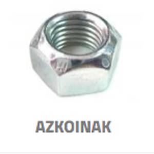 Azkoinak
