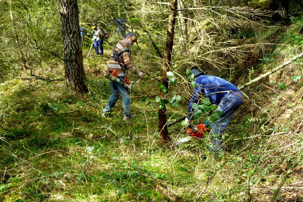 Arrandai–Koroso bidea berriro zabalik herritarrendako