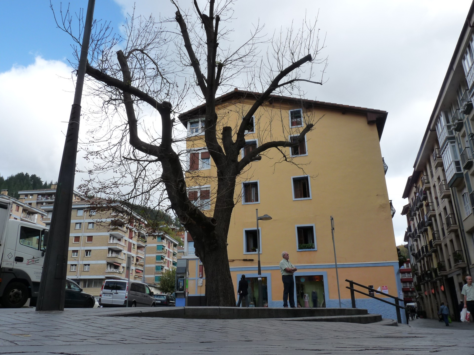 Eguaztenean botako dute Arbolapetako gaztainondoa, omenaldia jaso eta gero