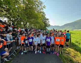 Otala zelai krosa eta Musakolako 4x4 eskubaloi txapelketa asteburu honetan!