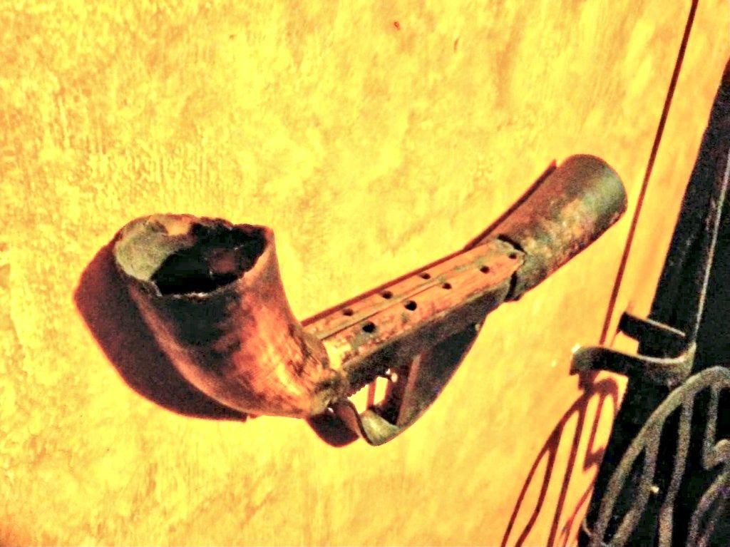 Ugaztegiko alboka