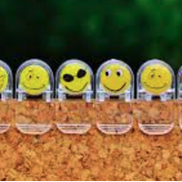 Emozioen gora-beheran bidelagun