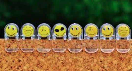 Emozioen gora-beheran bidelagun