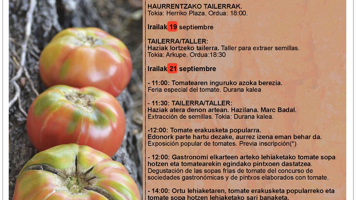 Aretxabaletako tomateraren astea: haurrentzako tailerra