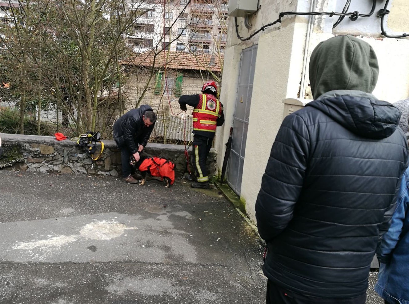 Deba ibaira jausi den txakurra erreskatatu dute suhiltzaileek