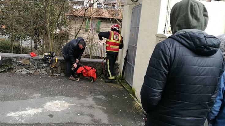 Deba ibaira jausi den txakurra erreskatatu dute suhiltzaileek