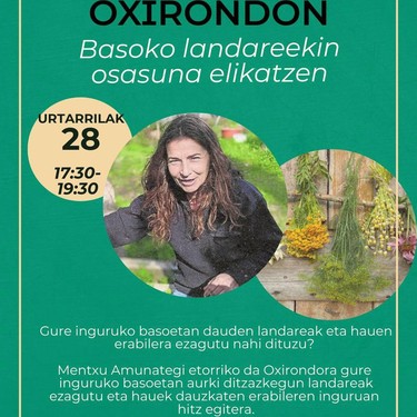 'Basoko landareekin osasuna elikatzen'