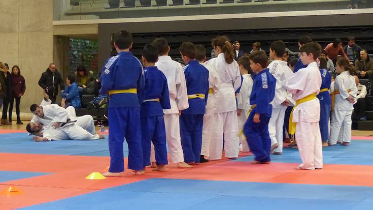 Kooperatibismoa ardatz hartuta, judoa barneratu