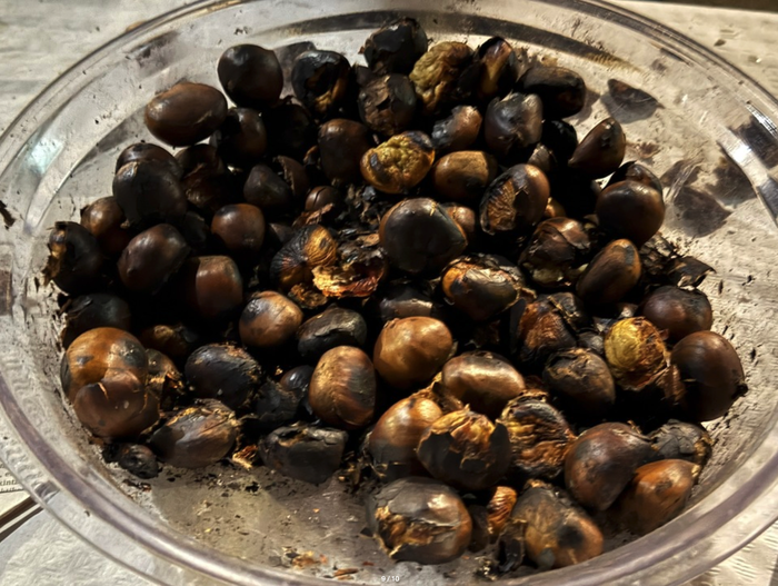 Gaztaina Erre Eguna egingo dute zapatuan, Udalak antolatuta