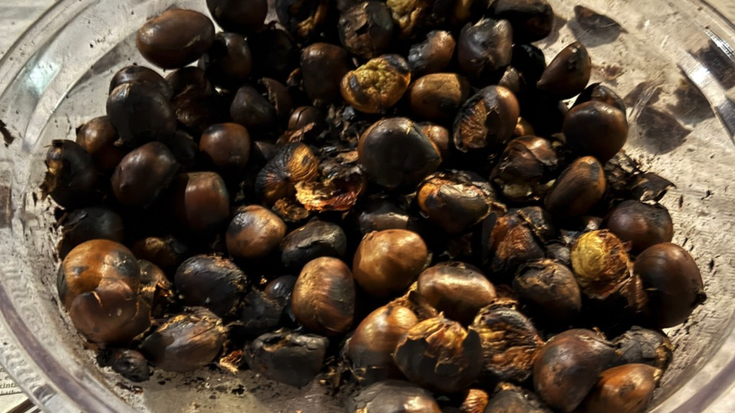 Gaztaina Erre Eguna egingo dute zapatuan, Udalak antolatuta