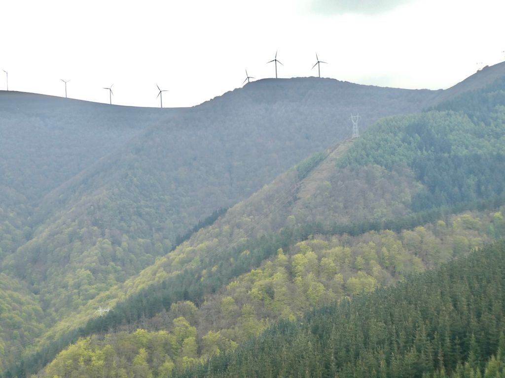 Orrixa