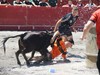 Giro bero-beroa Aset Crew garaile izan den olinpiadetan