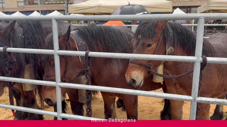 'Hemen Debagoiena': Euripean egin bada ere, jendetsua izan da Erramu-zapatuko feria