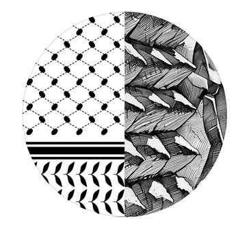 'Palestinaren bestelako begiradak'