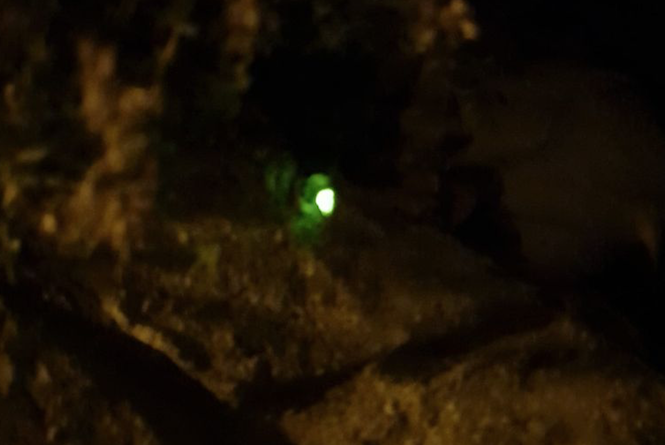 Iputargixa