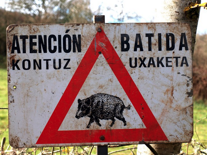 Basurde batida baten berri eman du Partzuergoak, zapaturako