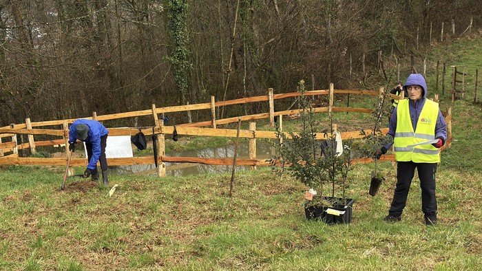 Kukubaso elkarteak bost urte beteko ditu bertako basoa berreskuratzeko lanetan