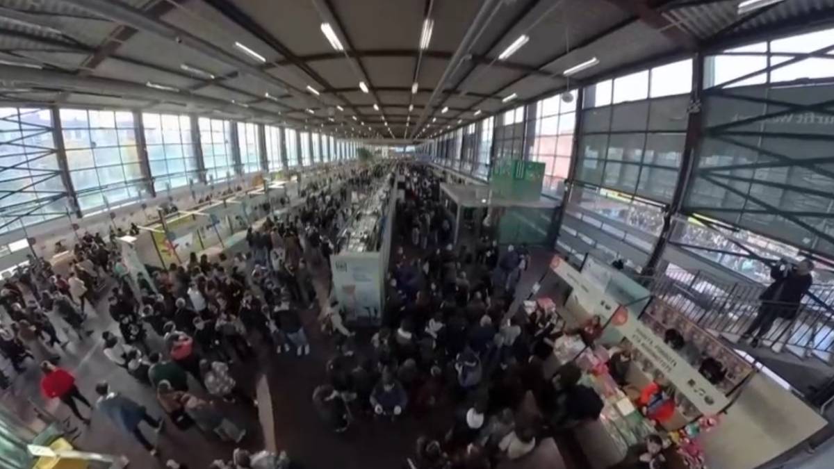 Albistegia: 2025-11-20