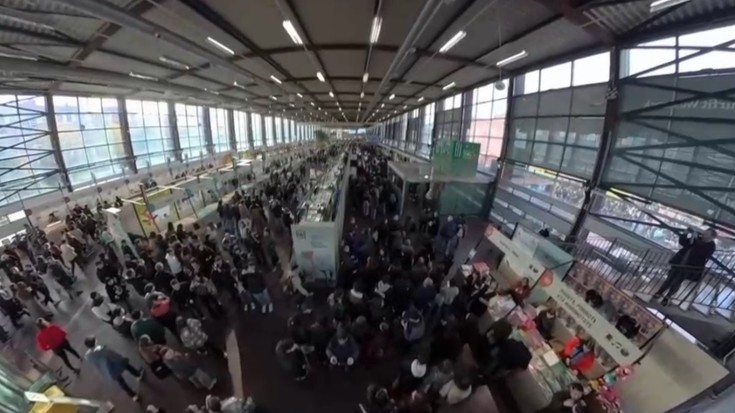 Albistegia: 2025-11-20