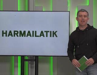 'Harmailatik': Antxintxika krosaren 20. urteurrena berbagai eta bergararren eta arrasatearren arteko eskubaloi derbiaren laburpena