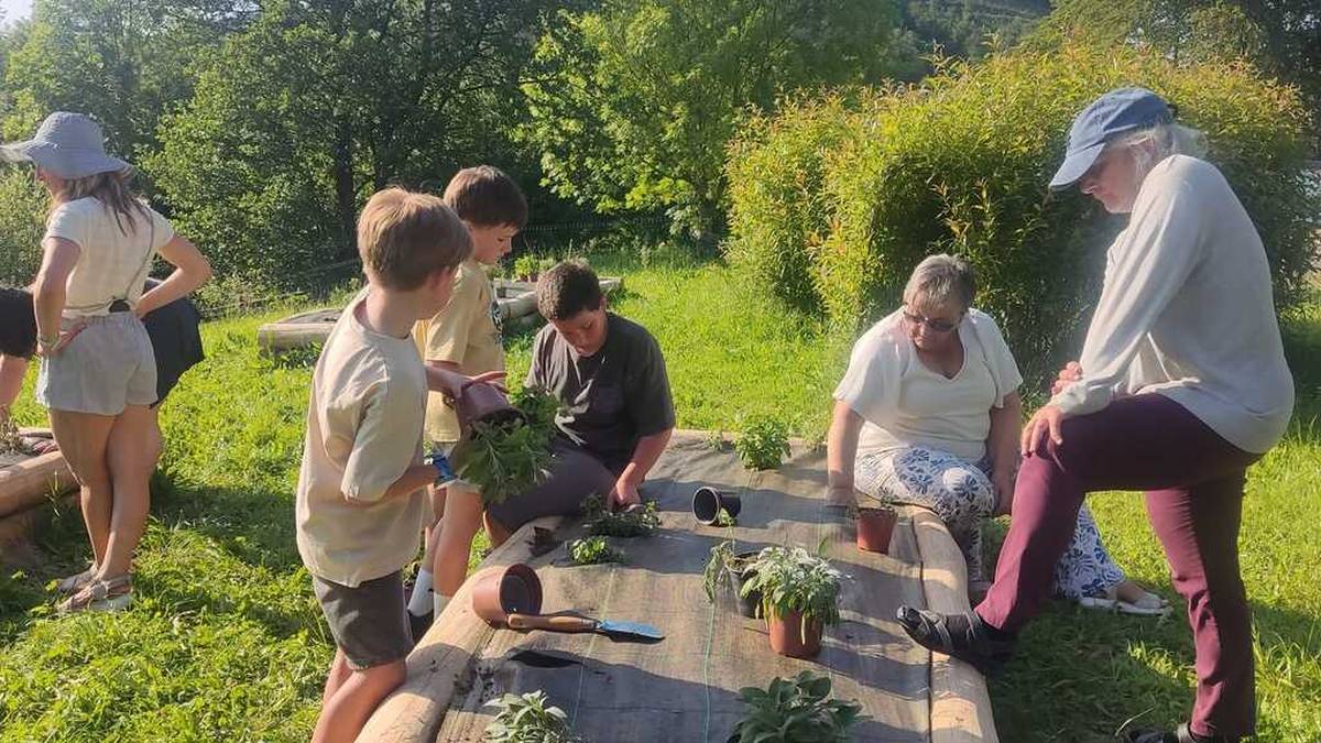 Egin dituzte lehen landaketak sendabelarrendako ortu berrietan