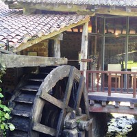 GATZ EGUNA 2025. Gatz Museora bisita gidatua gazteleraz