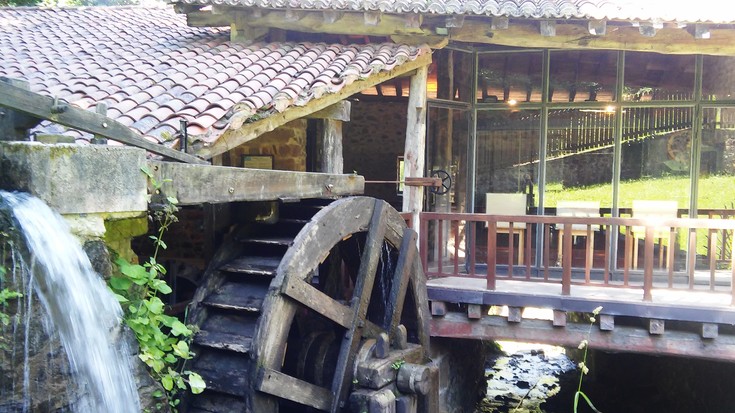 GATZ EGUNA 2025. Gatz Museora bisita gidatua gazteleraz