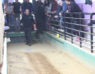 Gorka Bereziartua nagusitu da Elgetako tiraldian