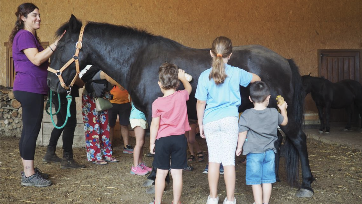Pottokak gertutik ezagutu eta gainean ibiltzeko aukera Pottokalekun