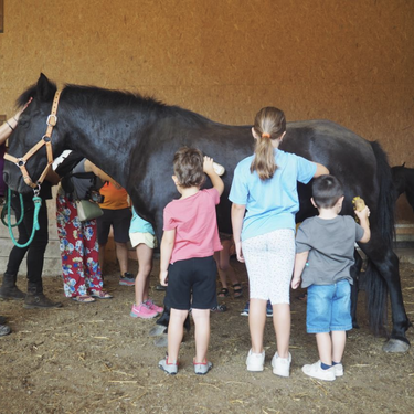 Pottokak ezagutzeko bisita berezia