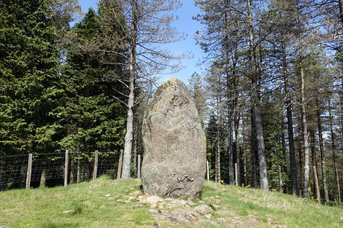 Dolmenen ibilbidea ezagutzeko bisitak berriz ere martxan