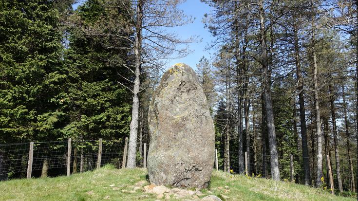 Dolmenen ibilbidea ezagutzeko bisitak berriz ere martxan