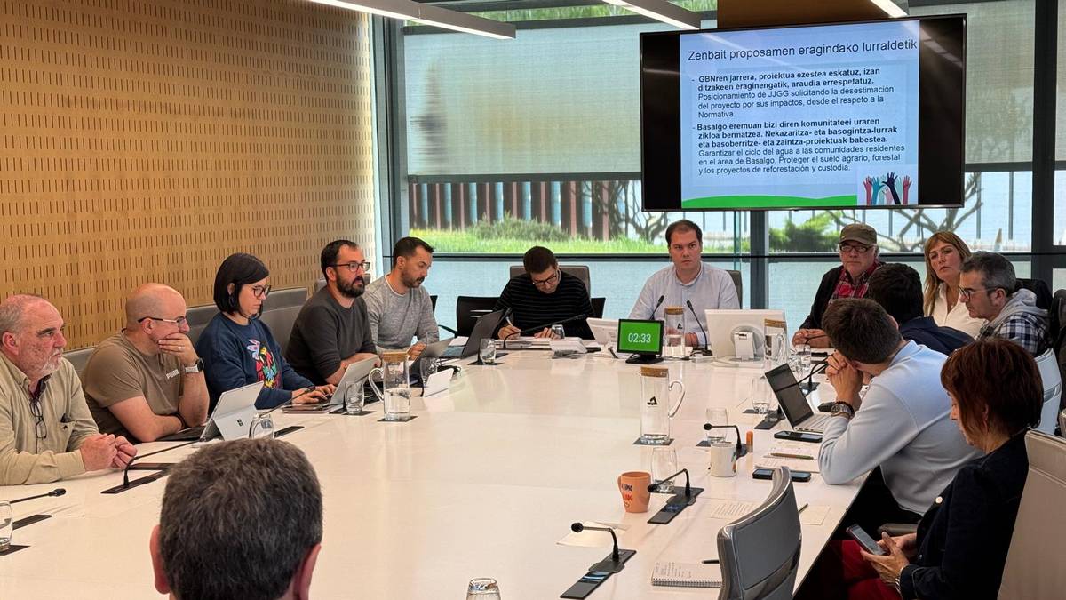 Basalgoko proiektu eolikoaren aurkako jarrera azaltzeko bilera egin dute Aldundian