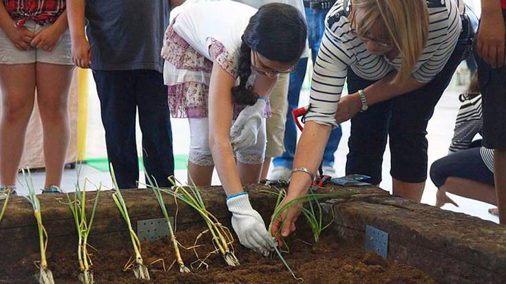 Eko esperientzia bizi izateko aukera ematen du Bioterra azokak