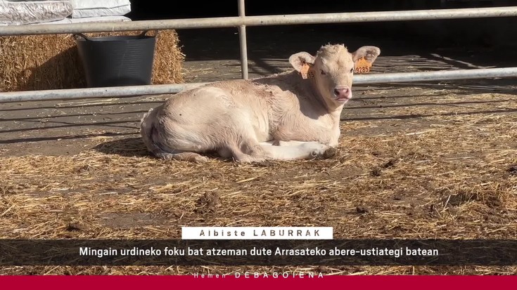 'Hemen Debagoiena' saioa osorik: 2025-07-14