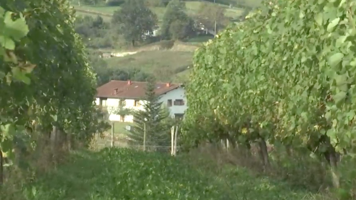 San Anton eguna urtarrilaren 17a, eta bailarako txakolina ia prest dute