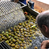 Sagar kultura hurbiletik ezagutzen