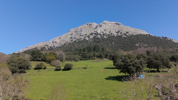 'Udalatxeko bira' ibilaldia