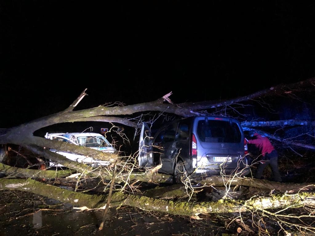 Zuhaitz bat erori da bi autoren gainera Bergara eta Elorregi artean