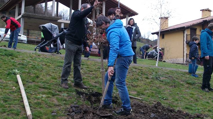 2016an jaiotako haurren izenean, zuhaitz landatzea