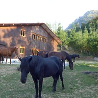 Arrikrutz kobak, Aizkorri-Aratz parke naturala, Pottokaleku eta ibilaldiak ezagutzeko aukerak
