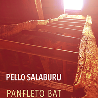 'Panfleto bat atzenduraren kontra' liburuaren aurkezpena