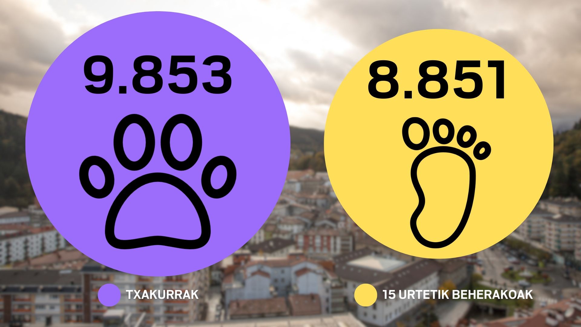 Haur eta nerabeak baino 1.002 txakur gehiago daude Debagoienean