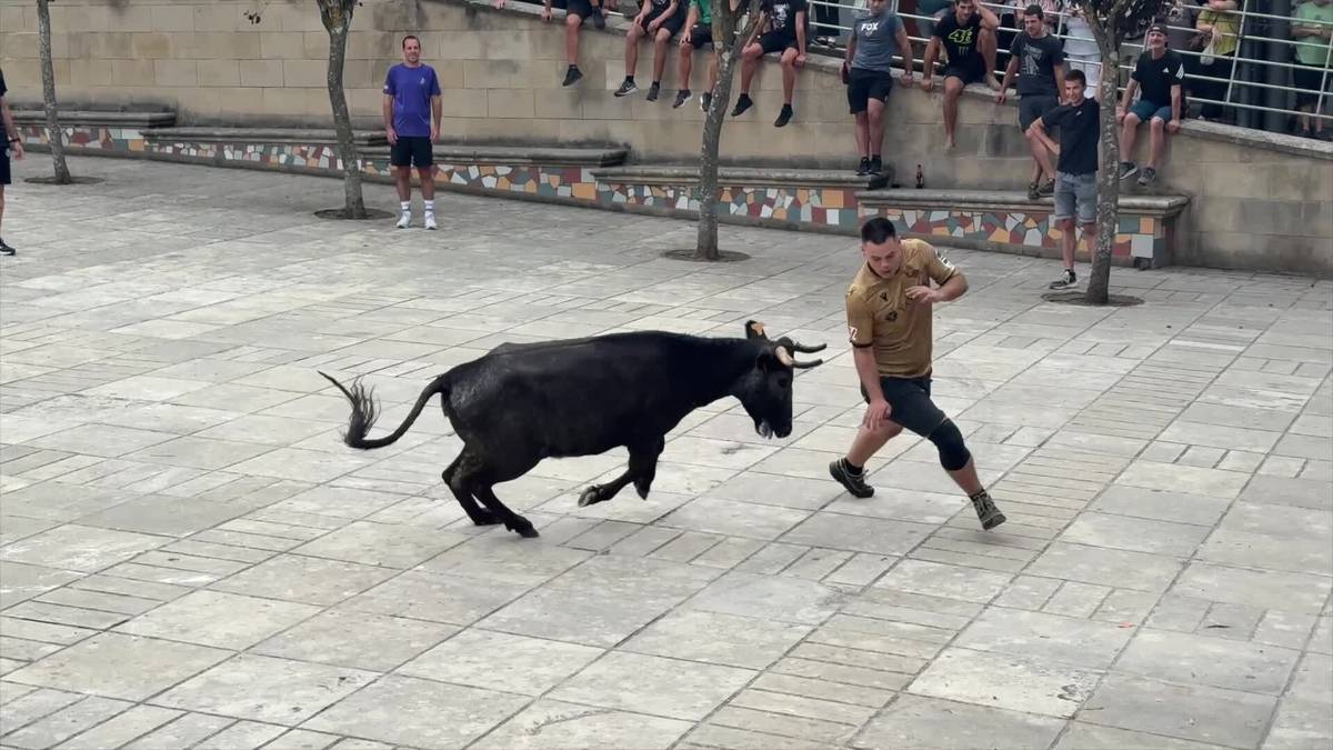 Ausart aritu dira gatzagarrak bigantxen aurrean