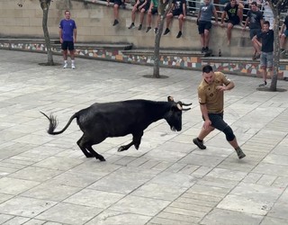 Ausart aritu dira gatzagarrak bigantxen aurrean