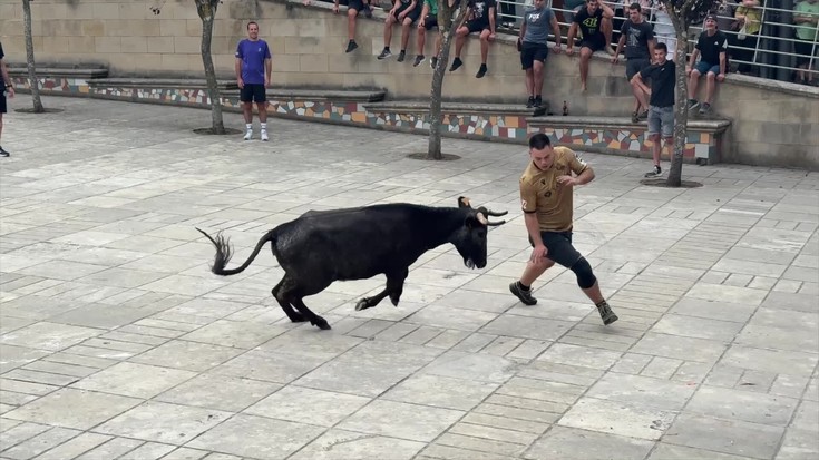 Ausart aritu dira gatzagarrak bigantxen aurrean