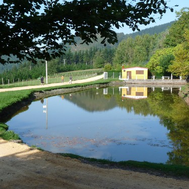 Asentzioren etorkizuna