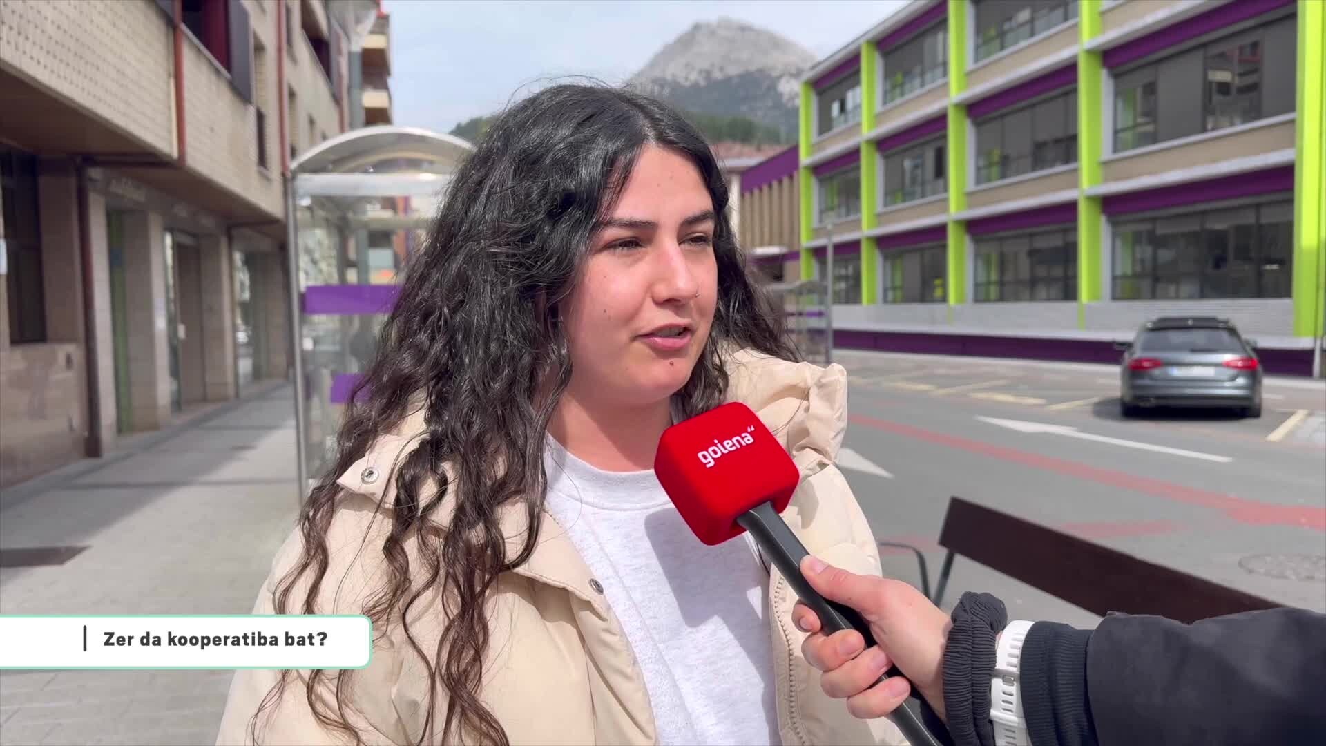 Inkesta: zer da kooperatiba bat?