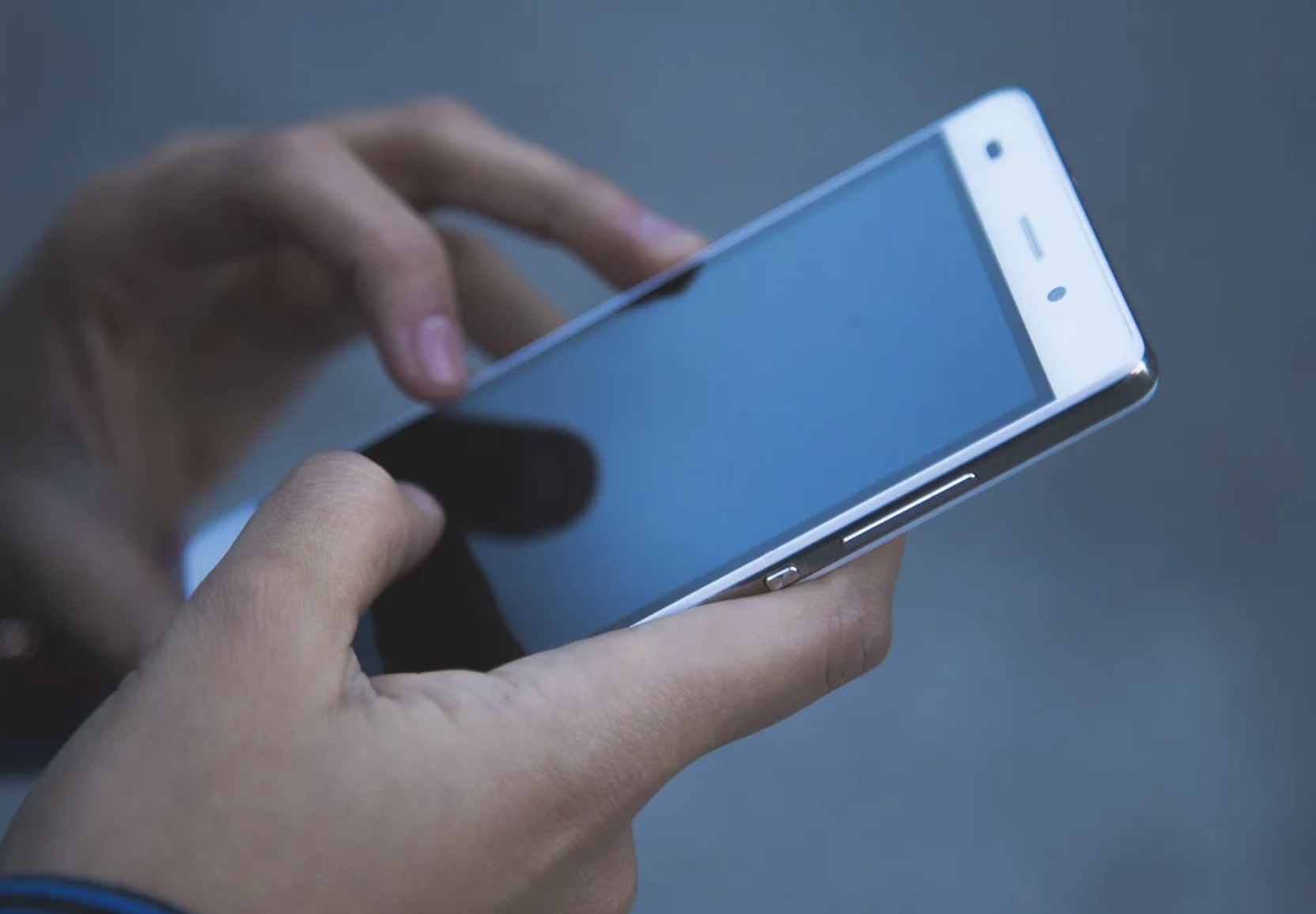Lau egunetan 253 eskaera telematiko artatu dituzte BAZen